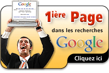 Publicit&eacute; r&eacute;f&eacute;rencement internet (web)